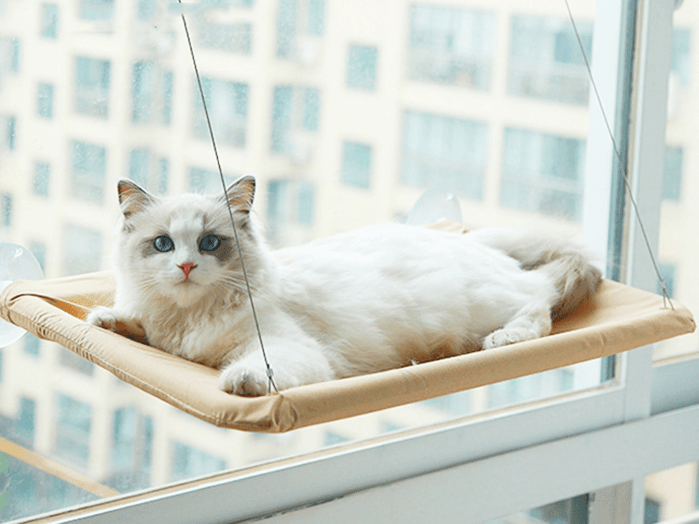 Cama elevada de janelas para gatos - univershope