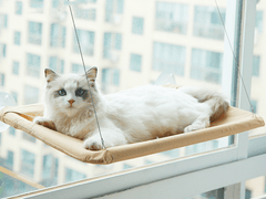 Cama elevada de janelas para gatos - univershope