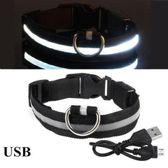 Coleira LED para Cães - univershope