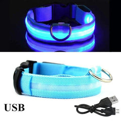 Coleira LED para Cães - univershope